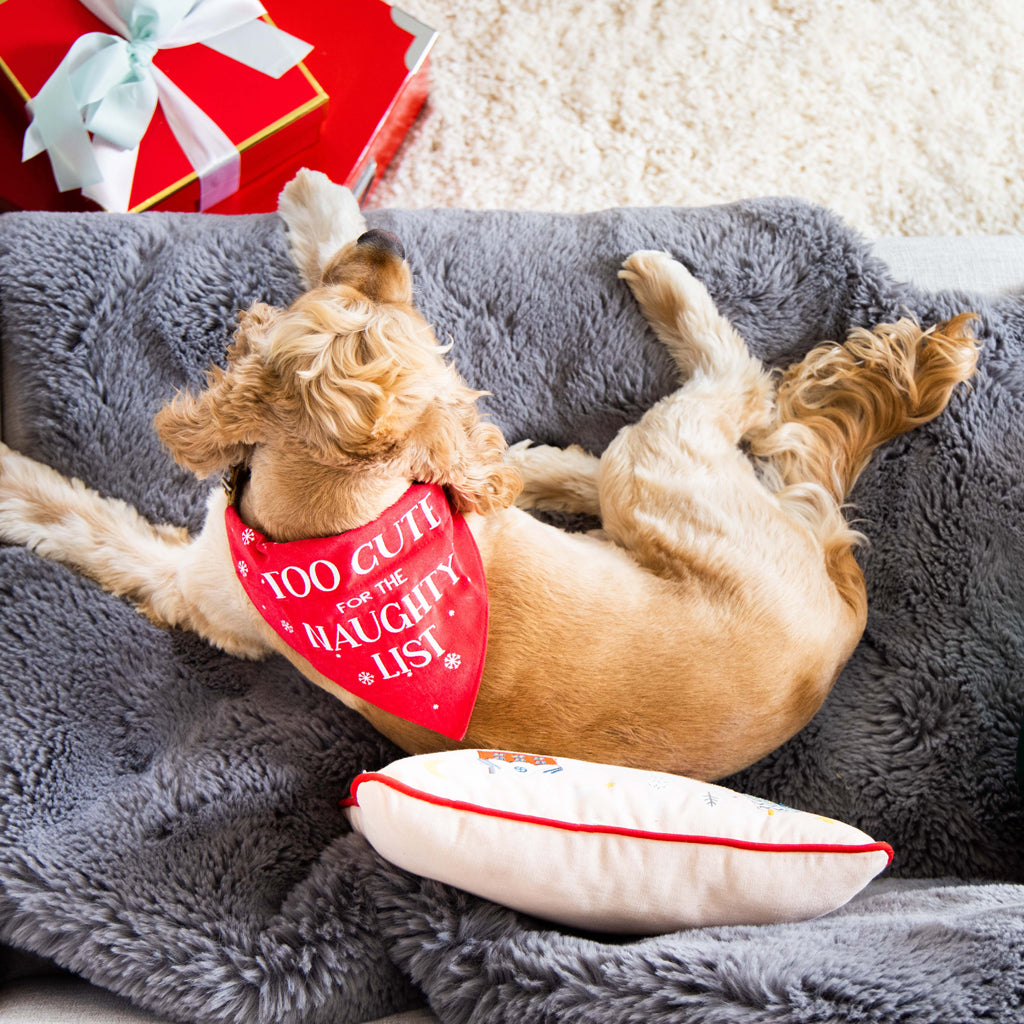 naughty list pet bandana (s/m)