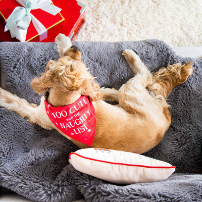 naughty list pet bandana (s/m)