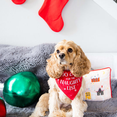naughty list pet bandana (s/m)