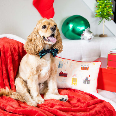holly leaf pet bowtie (m/l)