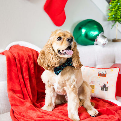 holly leaf pet bowtie (m/l)