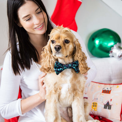 holly leaf pet bowtie (m/l)