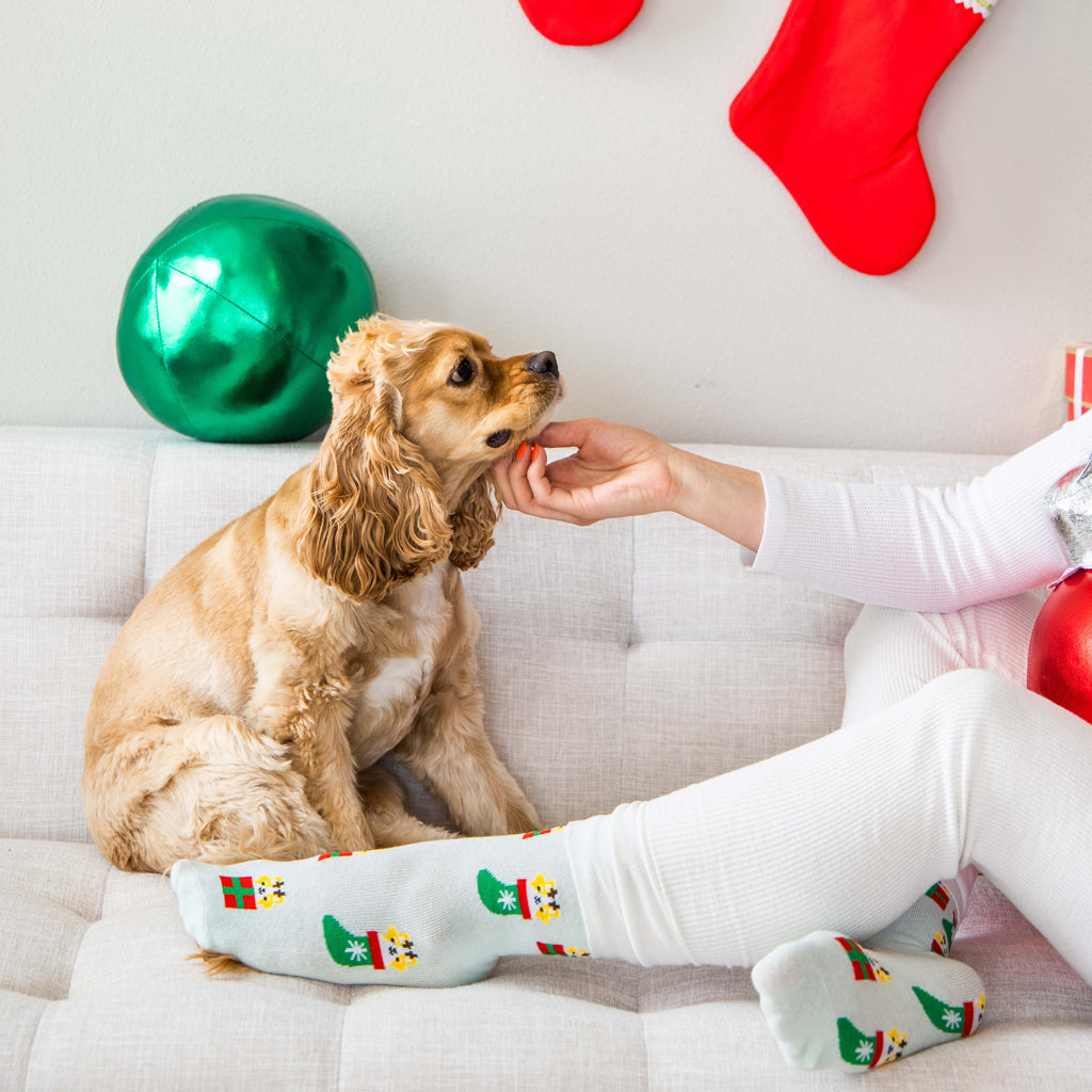 corgi holiday socks