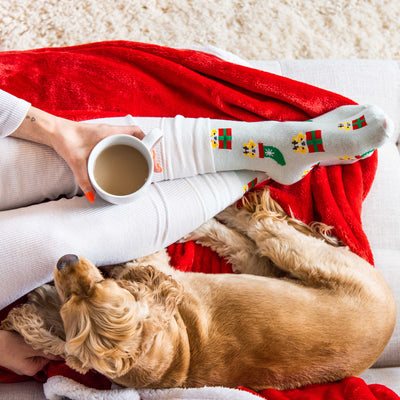 corgi holiday socks