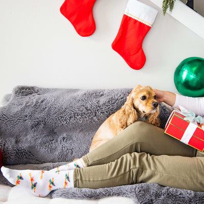 dachshund holiday socks