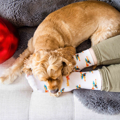 dachshund holiday socks