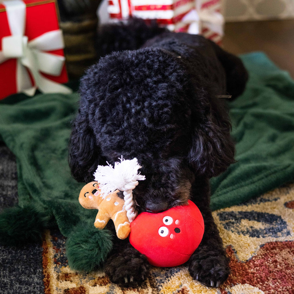 wrecking bauble dog toy