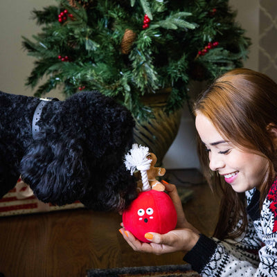 wrecking bauble dog toy