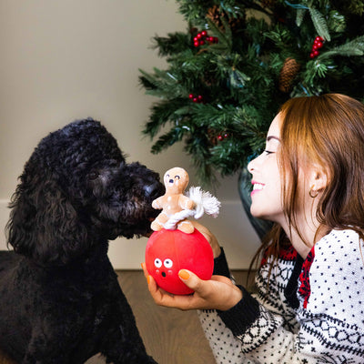 wrecking bauble dog toy