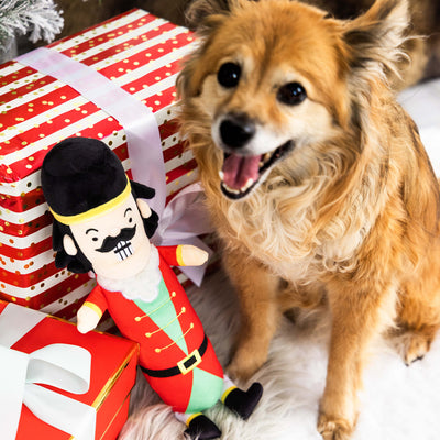 muttcracker dog toy
