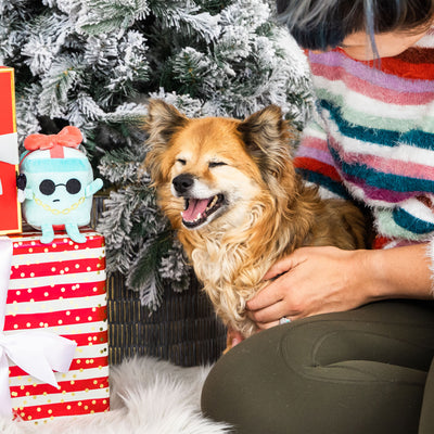 gangsta wrapper dog toy