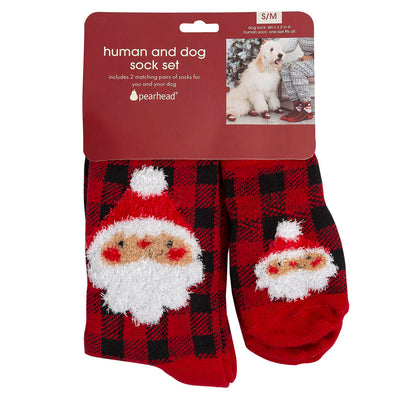 human and dog sock set
