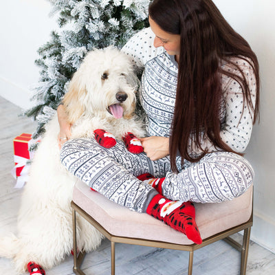 human and dog sock set