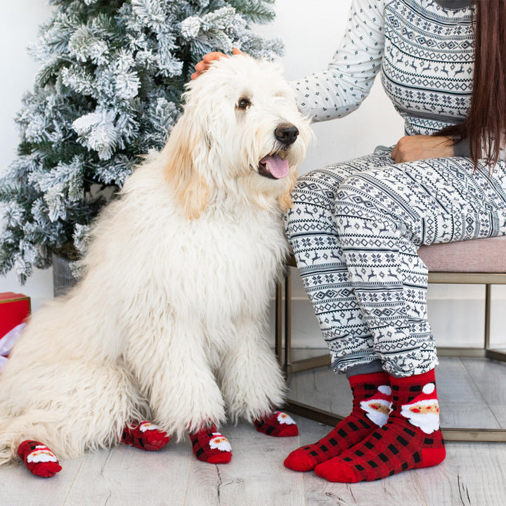 human and dog sock set Pearhead