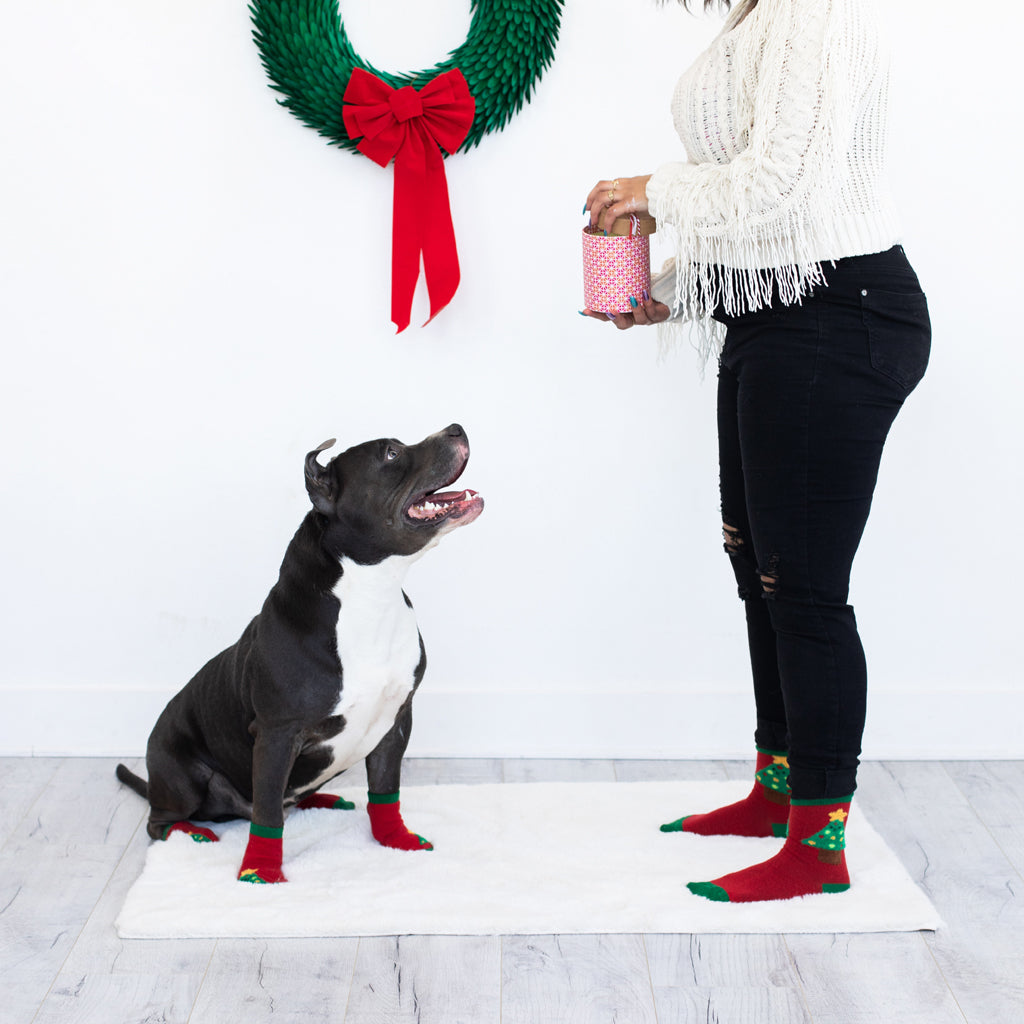 human and dog sock set