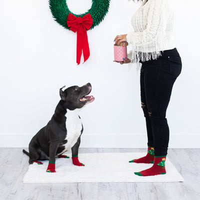 human and dog sock set