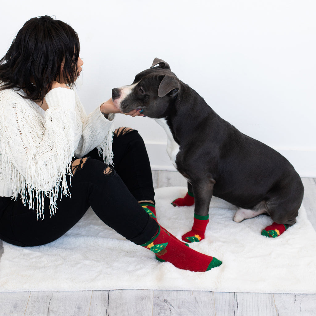 Petplug socks 2025
