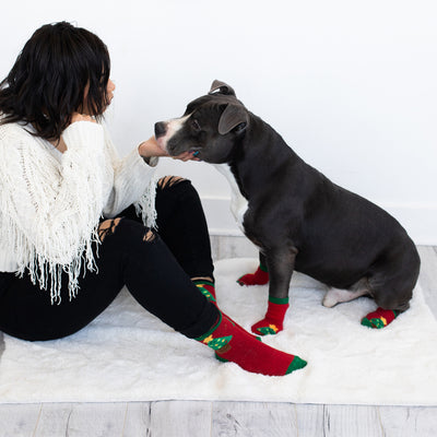 human and dog sock set