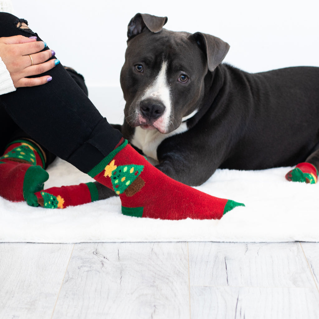 Socks with picture of dog hotsell