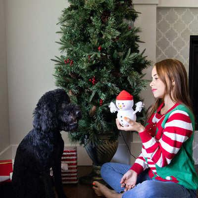 snowman dog toy