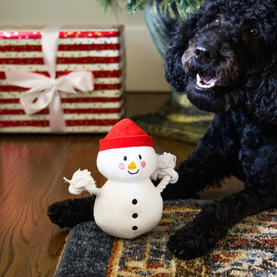 snowman dog toy