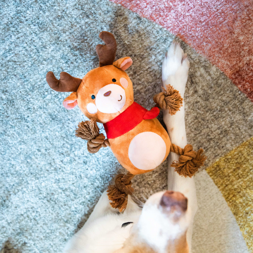 reindeer dog toy