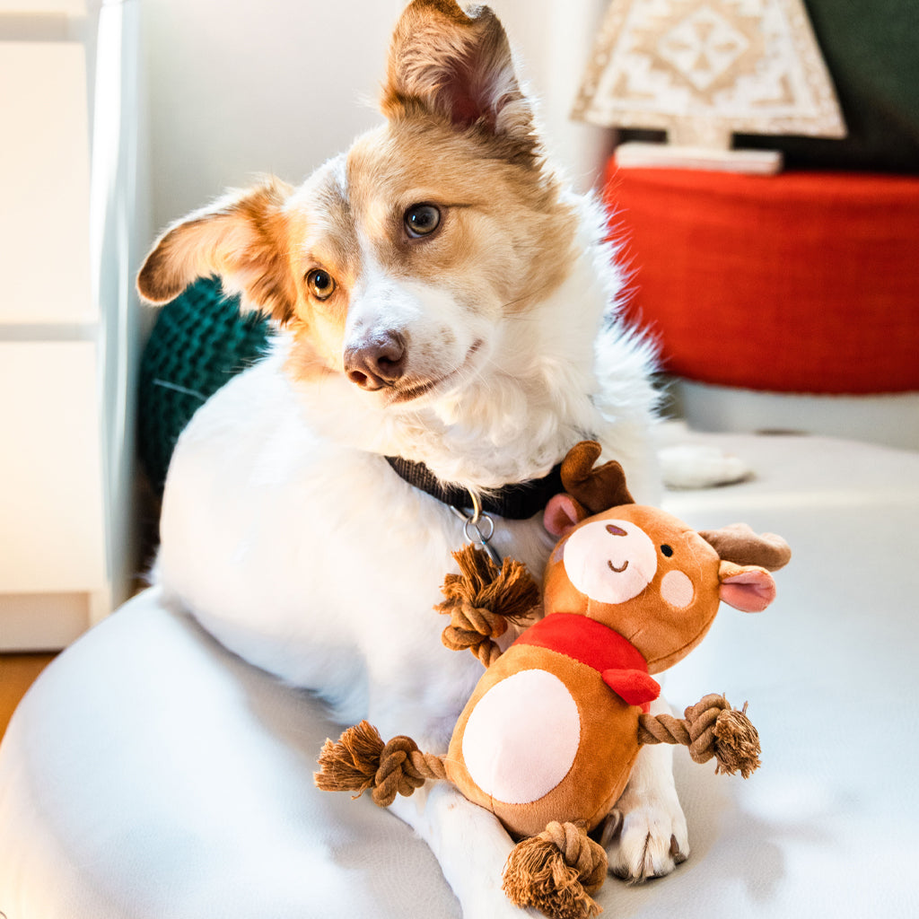 reindeer dog toy
