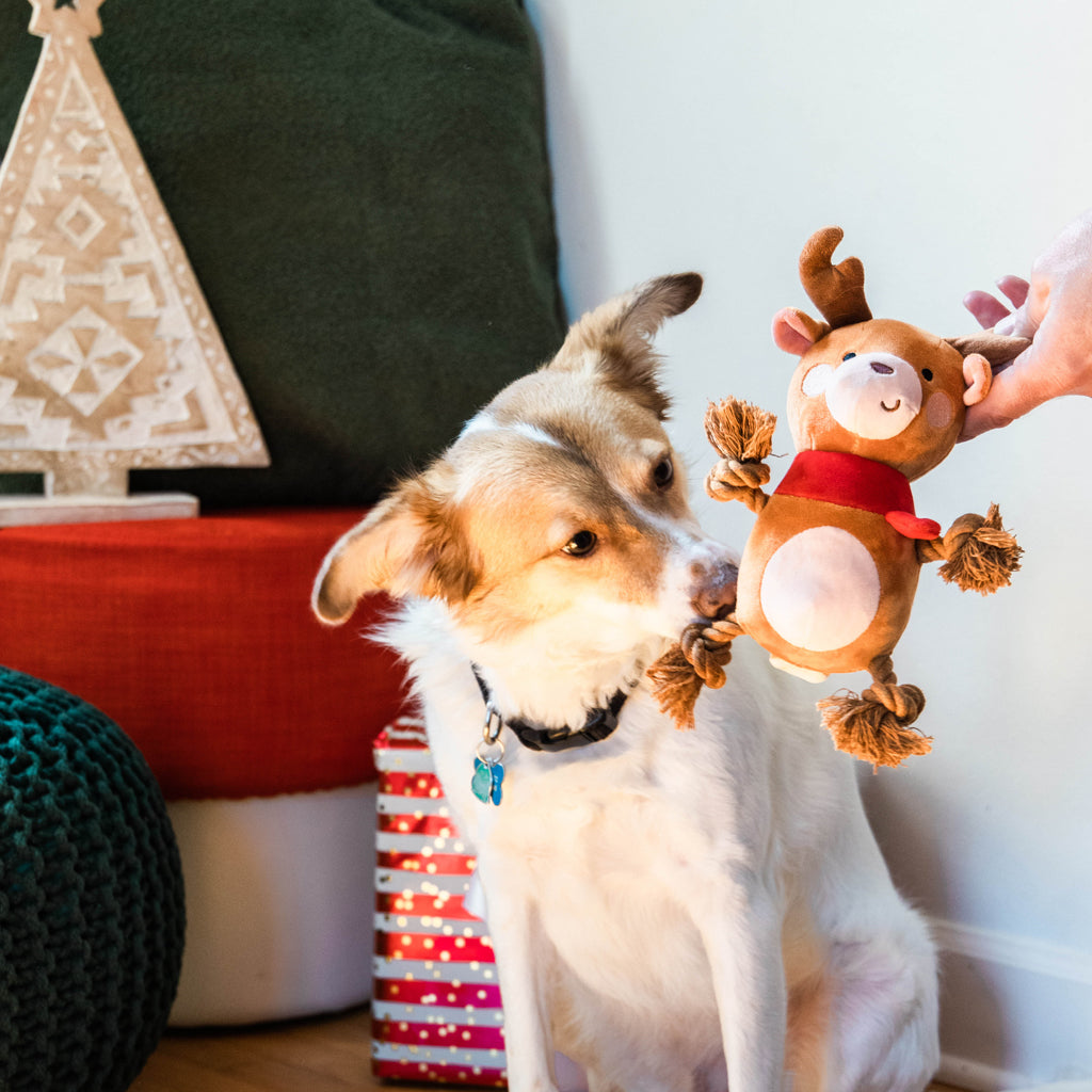 reindeer dog toy