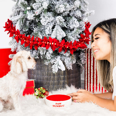 holiday dog bowl (md)