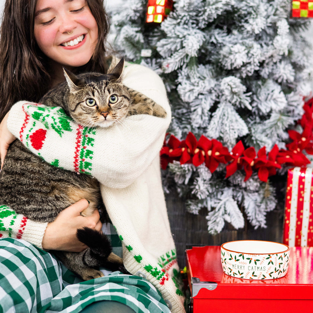 holiday cat bowl (sm)