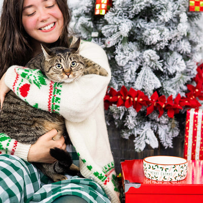 holiday cat bowl (sm)