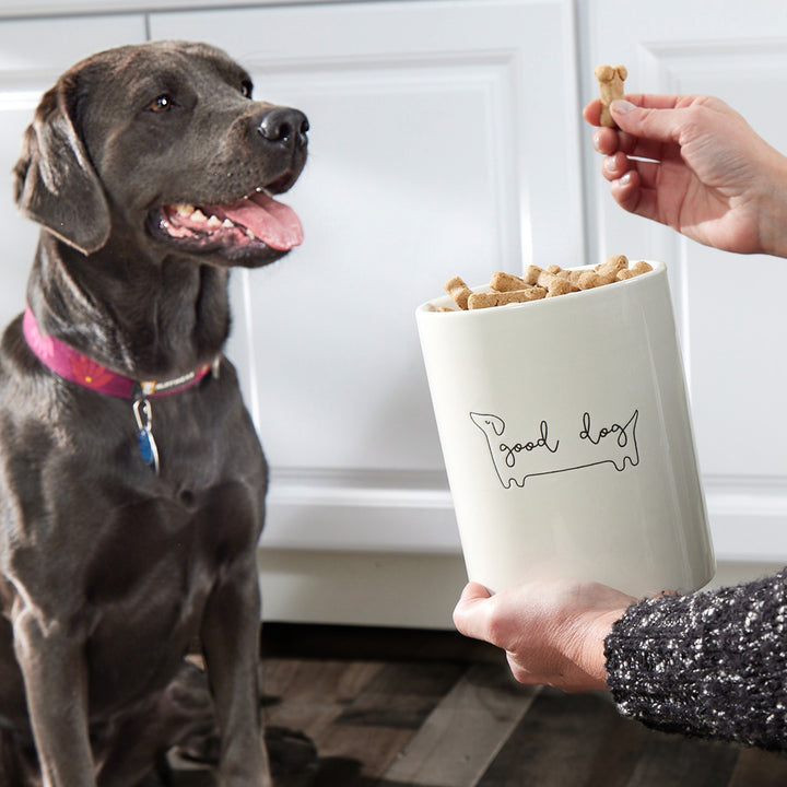 Modern dog treat jar top