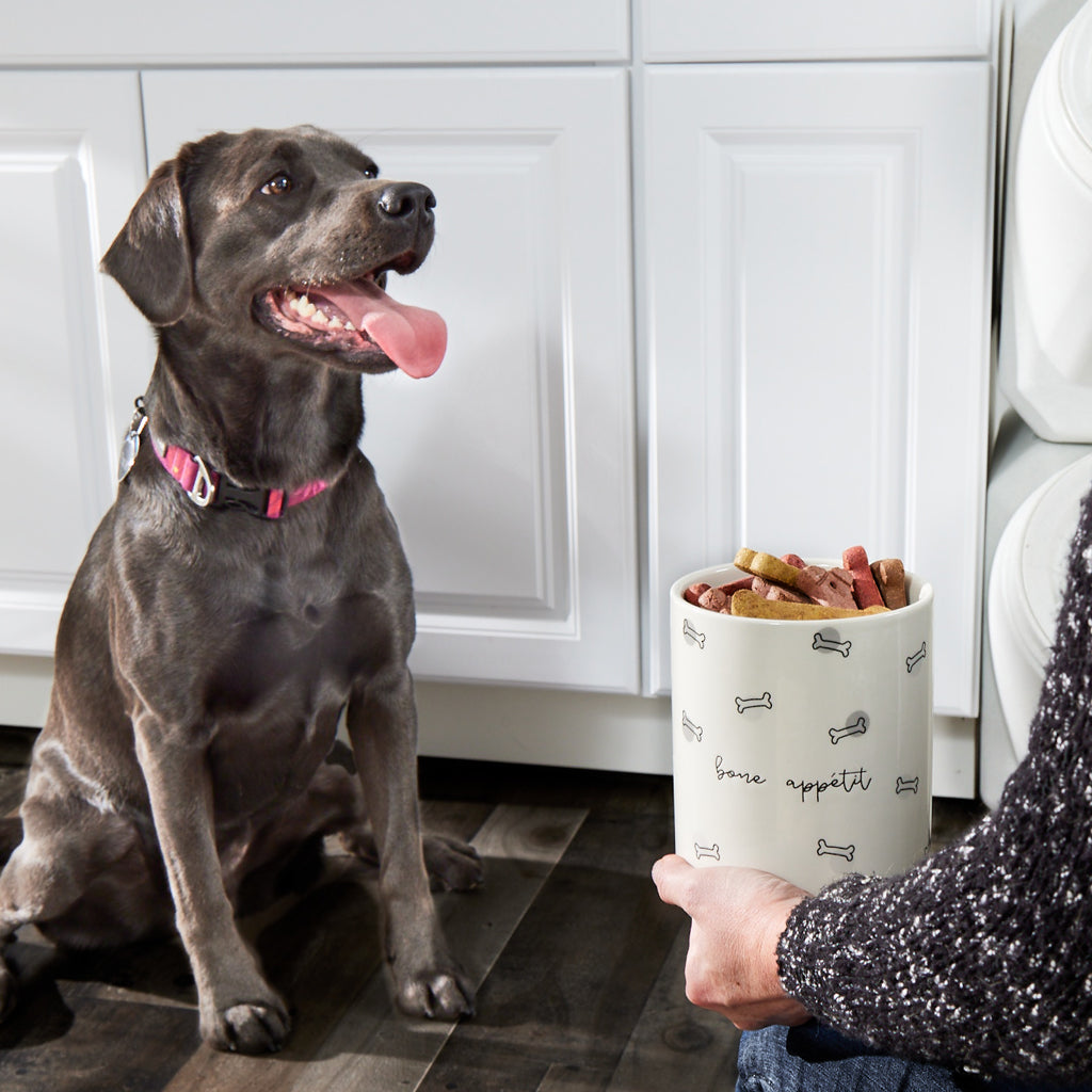 Bone appetit dog food store container