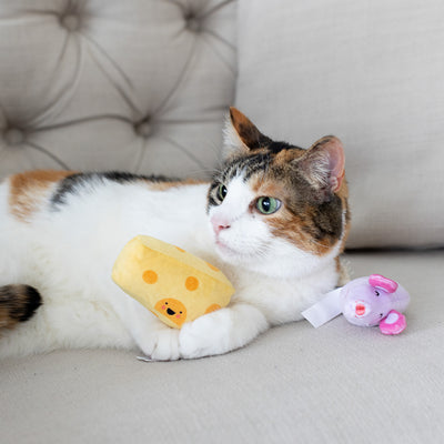 hide and squeak cat toy set