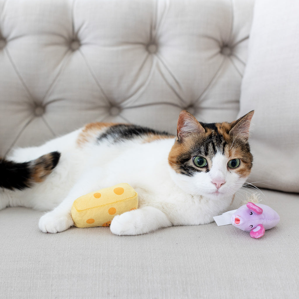 Cat hiding toys sale