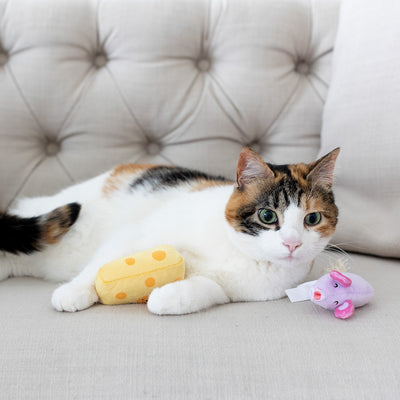 hide and squeak cat toy set