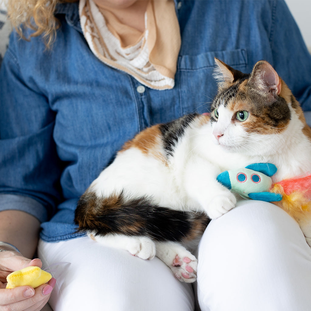 pawstronaut cat toy set