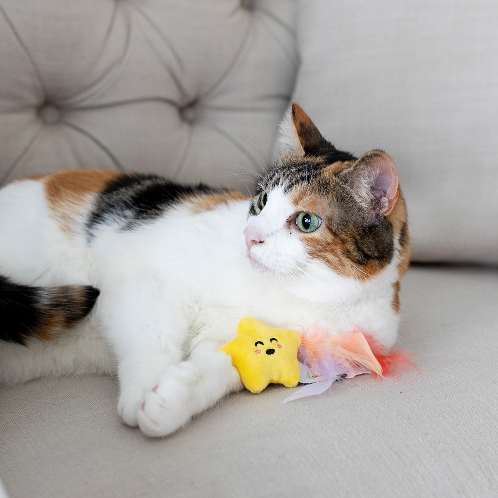 Cat deals toy set