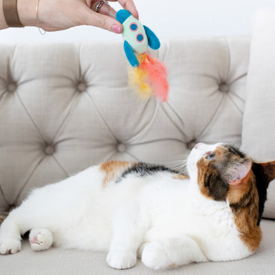 pawstronaut cat toy set