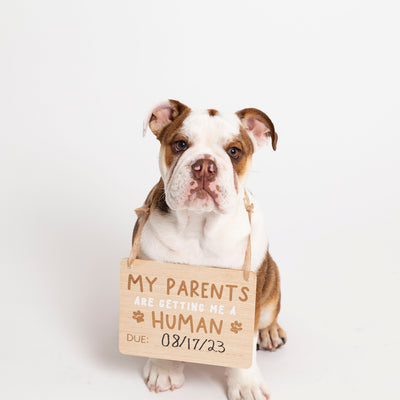 pet's baby announcement sign