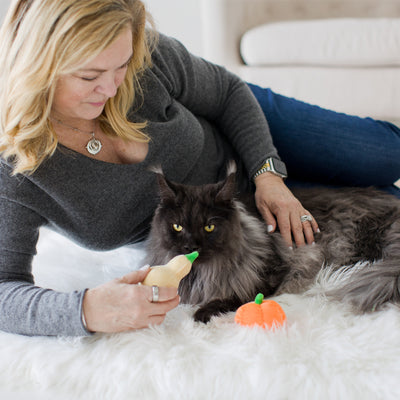 oh my gourd cat toy set