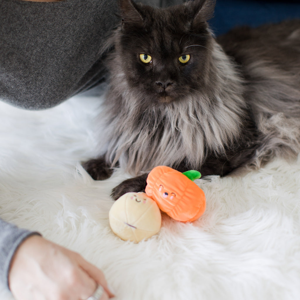 oh my gourd cat toy set