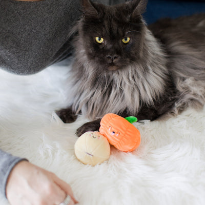 oh my gourd cat toy set