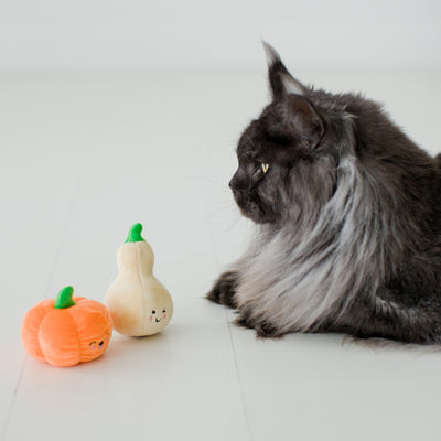 oh my gourd cat toy set