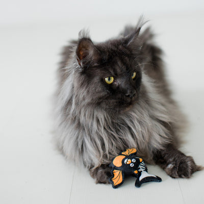 pawlloween cat toy set