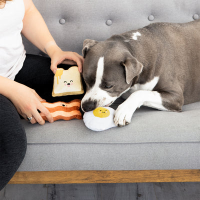 barkfast dog toy set