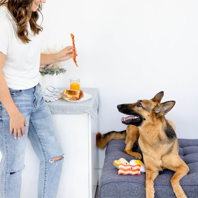 barkfast dog toy set