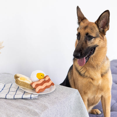 barkfast dog toy set
