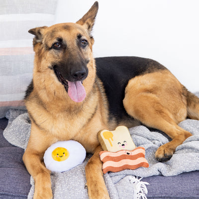 barkfast dog toy set