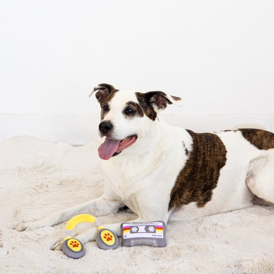 sub-woofer dog toy set